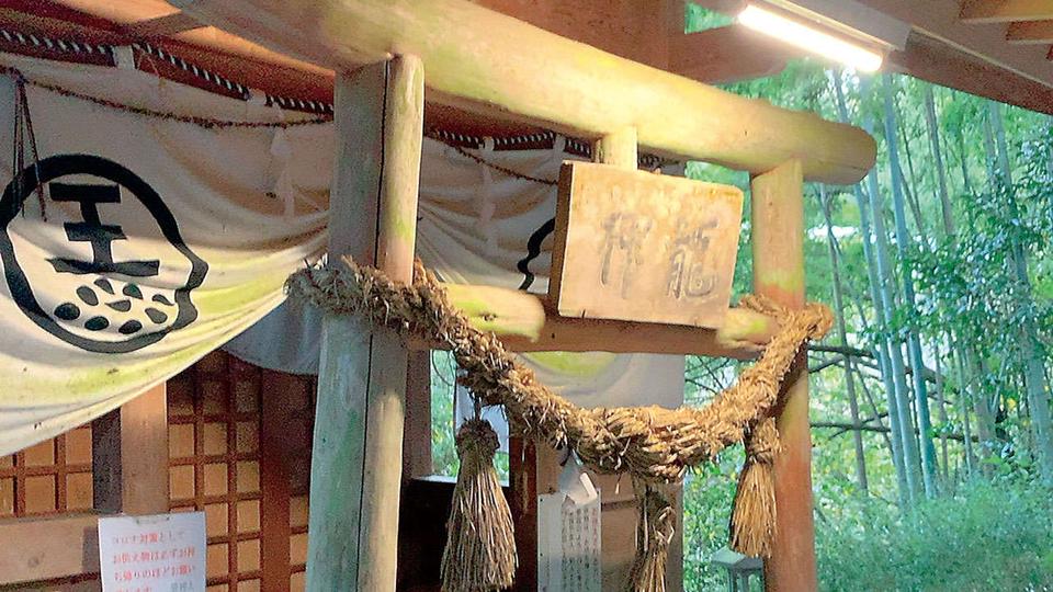 鳥居をくぐると別世界！強力なパワースポット「神龍八大龍王神社」（熊本県）【龍がいる神社】（3）