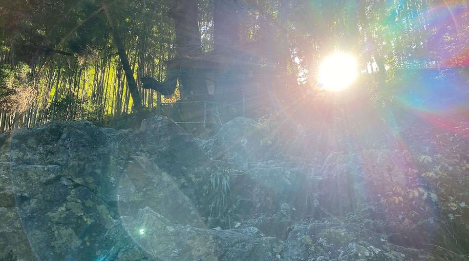 鳥居をくぐると別世界！強力なパワースポット「神龍八大龍王神社」（熊本県）【龍がいる神社】（4）