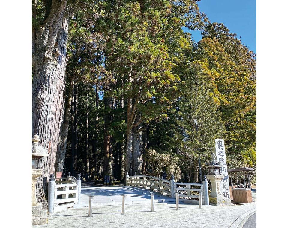 龍が見えるようになる⁉ 龍神パワーを感じる特別な場所「高野山金剛峯寺・奥之院」（和歌山県）（2）