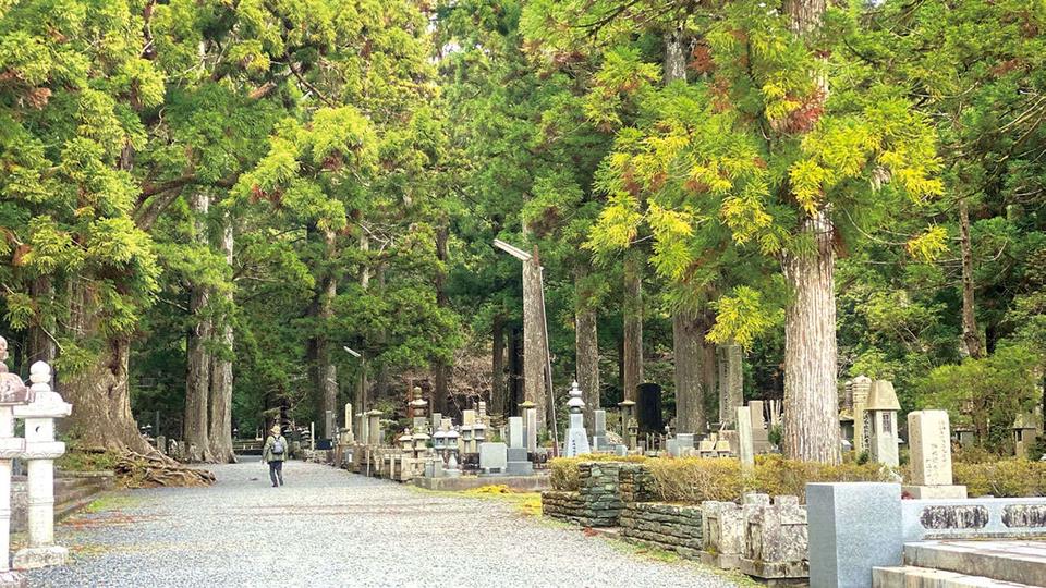 龍が見えるようになる⁉ 龍神パワーを感じる特別な場所「高野山金剛峯寺・奥之院」（和歌山県）（3）