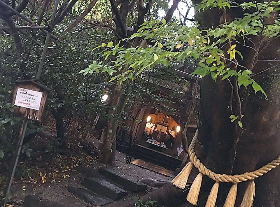 龍神様に唱える言葉で龍が身近な存在に「八大龍王水神」（宮崎県）【龍がいる神社】（3）