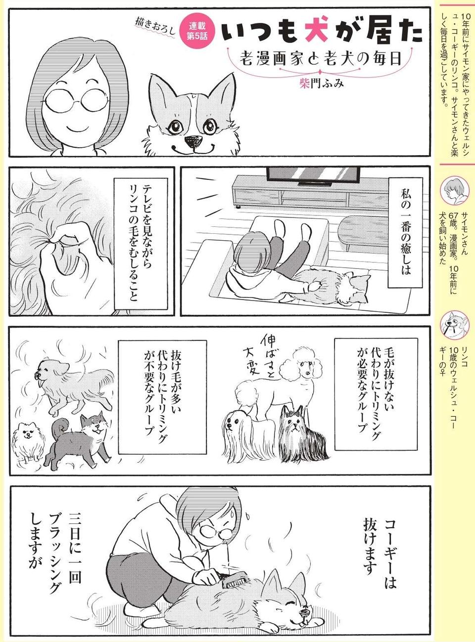 【柴門ふみさん描きおろし！「いつも犬が居た」】抜け毛が多いウェルシュ・コーギーならではの意外な「癒し」（2）