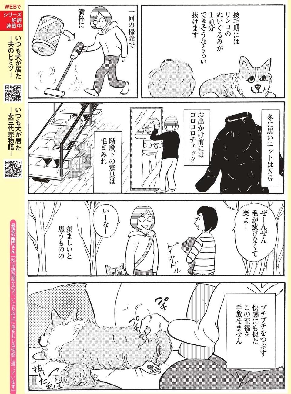 【柴門ふみさん描きおろし！「いつも犬が居た」】抜け毛が多いウェルシュ・コーギーならではの意外な「癒し」（3）