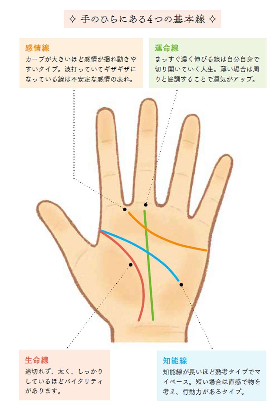 手相の約8割の情報がここに！まずは理解したい4つの基本線【人気手相占い師が解説】（3）
