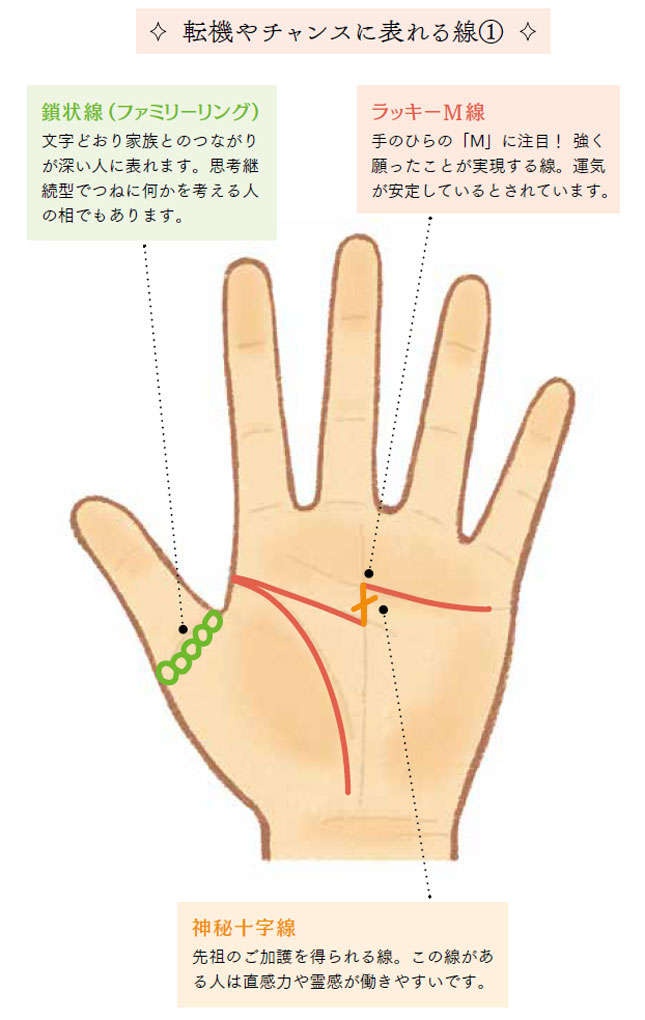 手相でこれが見つかるとラッキー！「運勢のポイント」となる線【歴24年の人気手相占い師が解説】（3）