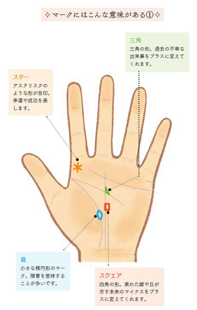 手相でコレが現れたら「幸運や成功の印」。特にラッキーなのは...【歴24年の人気手相占い師が解説】（3）