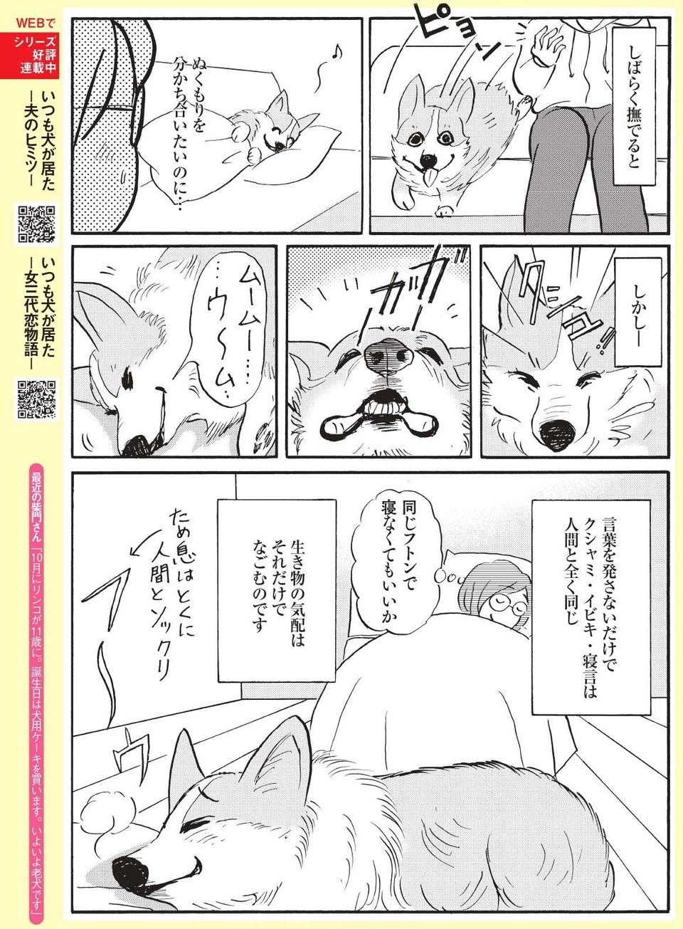 撫でて撫でてと甘えるくせに絶対一緒に寝ないうちの愛犬【柴門ふみさん描きおろし「いつも犬が居た」】（3）