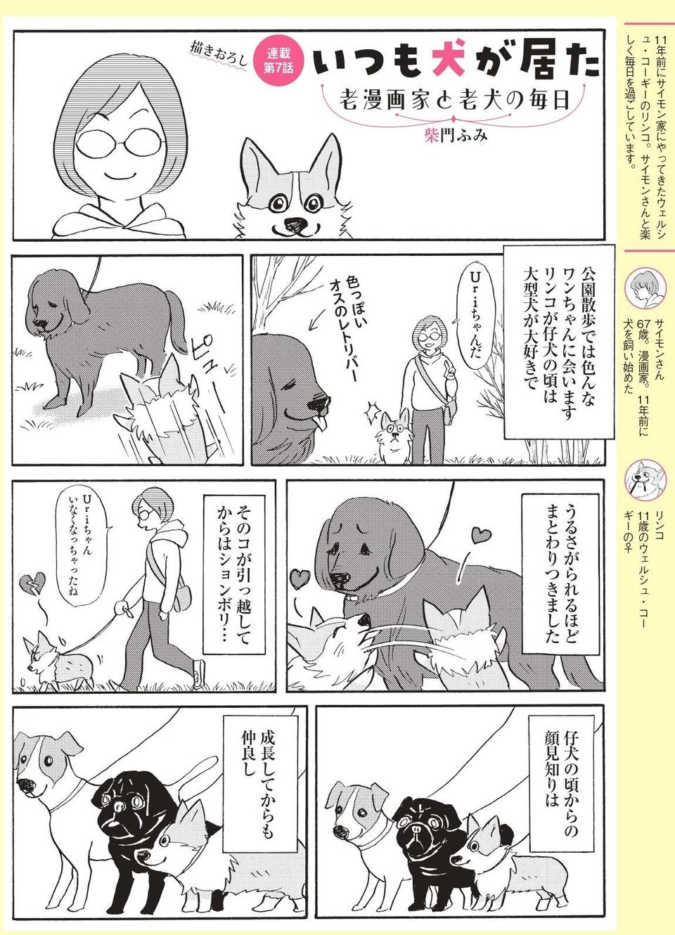 犬でも人間でも相性がある！ 愛犬を見ていて思うこと【柴門ふみさん描きおろし「いつも犬が居た」】（2）