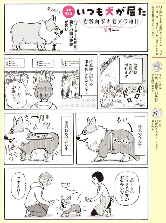 コーギーならではのお困りごと⁉ お散歩用の服選びで悲喜こもごも【柴門ふみさん描きおろし「いつも犬が居た」】（2）