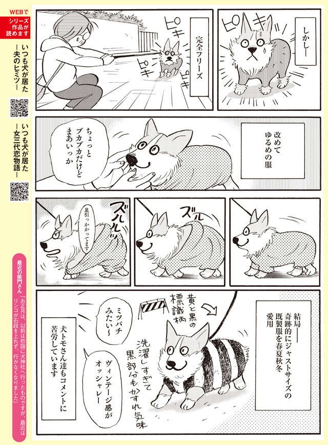 コーギーならではのお困りごと⁉ お散歩用の服選びで悲喜こもごも【柴門ふみさん描きおろし「いつも犬が居た」】（3）