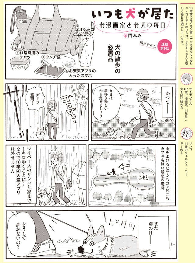 カラスよけグッズもさらに必要⁉ 愛犬の散歩の必需品5点【柴門ふみさん描きおろし「いつも犬が居た」】（2）
