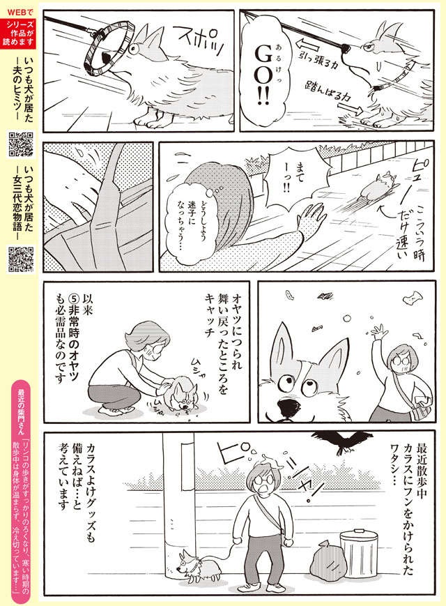 カラスよけグッズもさらに必要⁉ 愛犬の散歩の必需品5点【柴門ふみさん描きおろし「いつも犬が居た」】（3）