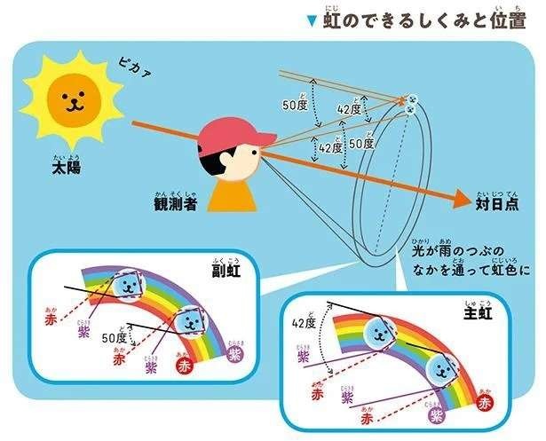 「虹のふもとは永遠にたどり着けない」理由を気象の専門家・荒木健太郎さんが解説（3）