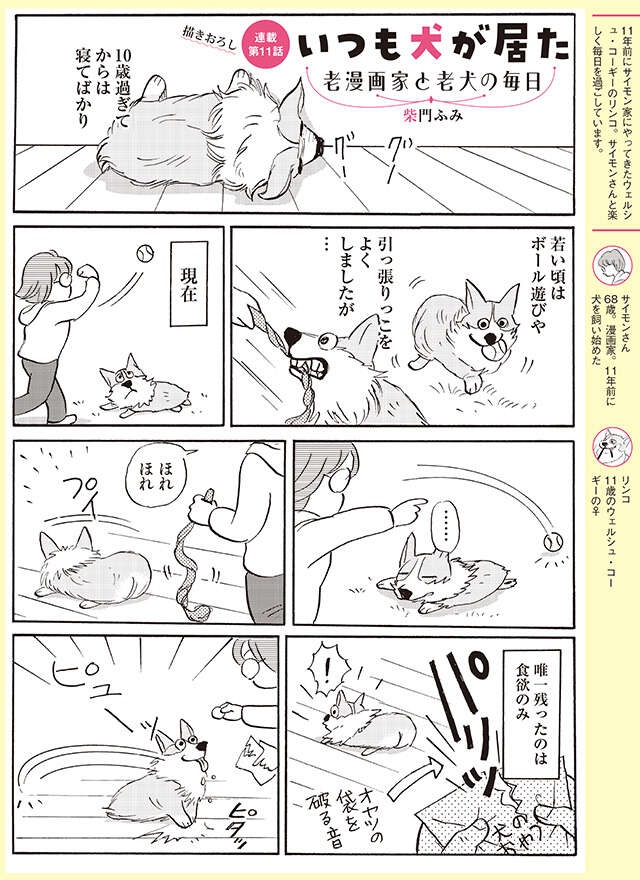 パリッ！ 10歳を過ぎてから寝てばかりの愛犬が、目を輝かせて飛んでくる「音」【柴門ふみさん描きおろし「いつも犬が居た」】（2）