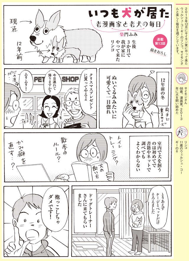 抱っこしちゃダメ⁉ 生後3カ月でやってきた子犬の飼い方は？【柴門ふみさん描きおろし「いつも犬が居た」】（2）