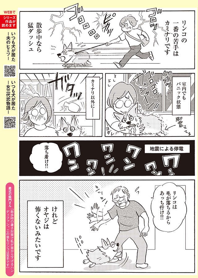地震・カミナリ...オヤジはOK？ うちのワンコの怖いもの【柴門ふみさん描きおろし「いつも犬が居た」】（3）
