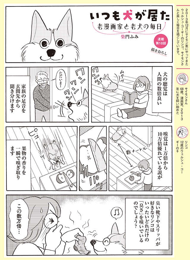 12歳の愛犬。嗅覚は変わらずでも聴覚は弱って来たかと思ったら...⁉【柴門ふみさん描きおろし「いつも犬が居た」】（2）