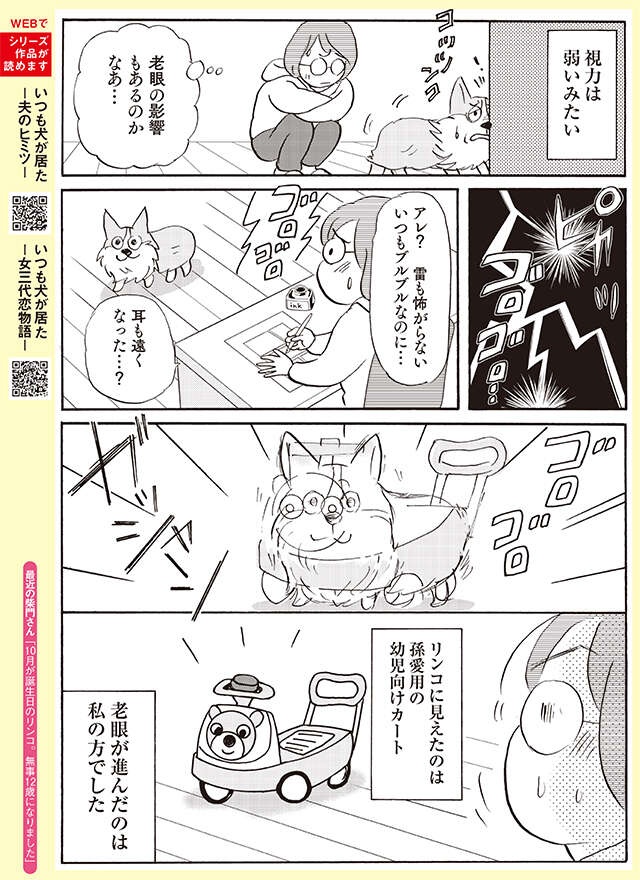12歳の愛犬。嗅覚は変わらずでも聴覚は弱って来たかと思ったら...⁉【柴門ふみさん描きおろし「いつも犬が居た」】（3）
