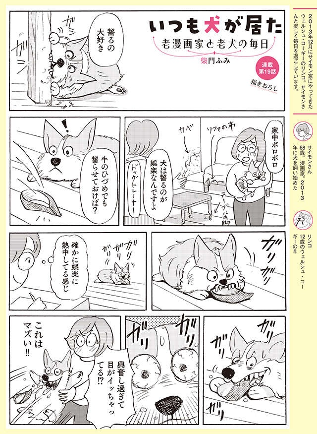 興奮し過ぎて目がイッちゃってる⁉ 齧るのが大好きな愛犬に齧らせてみたら...【柴門ふみさん描きおろし「いつも犬が居た」】（2）