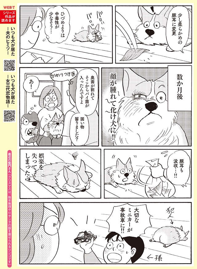 興奮し過ぎて目がイッちゃってる⁉ 齧るのが大好きな愛犬に齧らせてみたら...【柴門ふみさん描きおろし「いつも犬が居た」】（3）