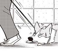 犬も人間も同じだった...！愛犬の脚が急に衰えてきてわかったこと【柴門ふみさん描きおろし「いつも犬が居た」】（1）