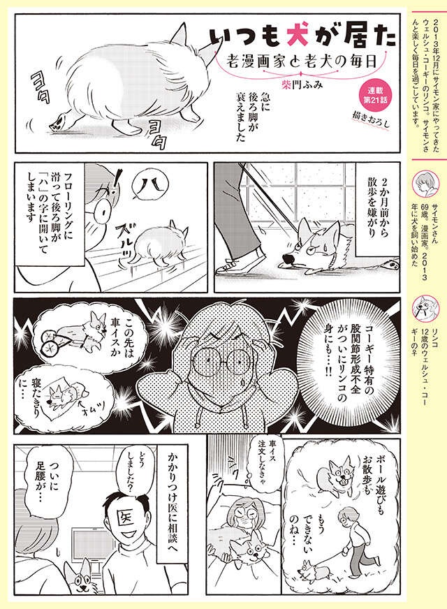 犬も人間も同じだった...！愛犬の脚が急に衰えてきてわかったこと【柴門ふみさん描きおろし「いつも犬が居た」】（2）