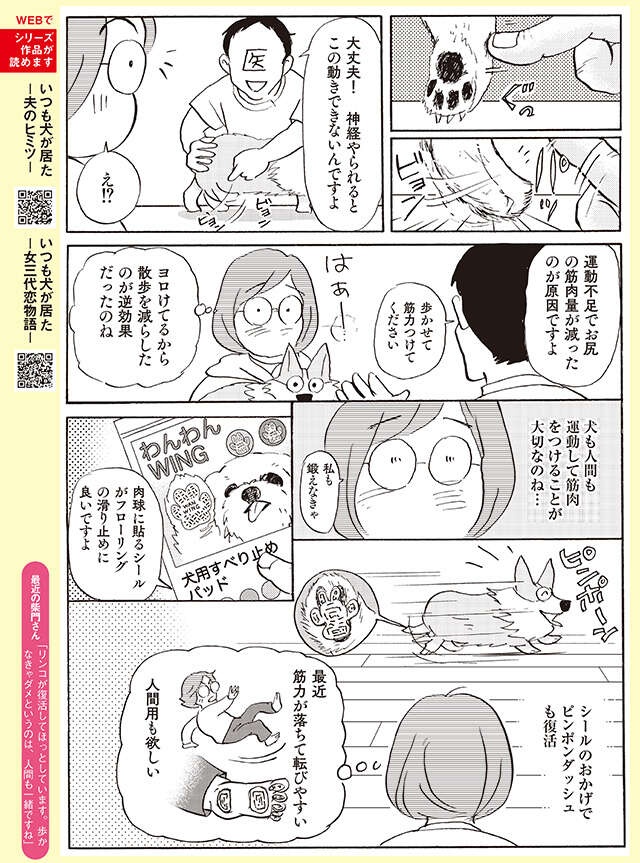 犬も人間も同じだった...！愛犬の脚が急に衰えてきてわかったこと【柴門ふみさん描きおろし「いつも犬が居た」】（3）
