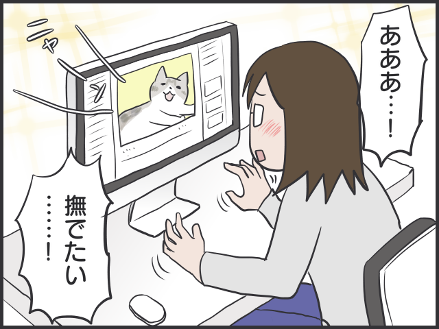 保護猫の里親になる条件は？20年一緒に暮らすということ／フニャコ（1）
