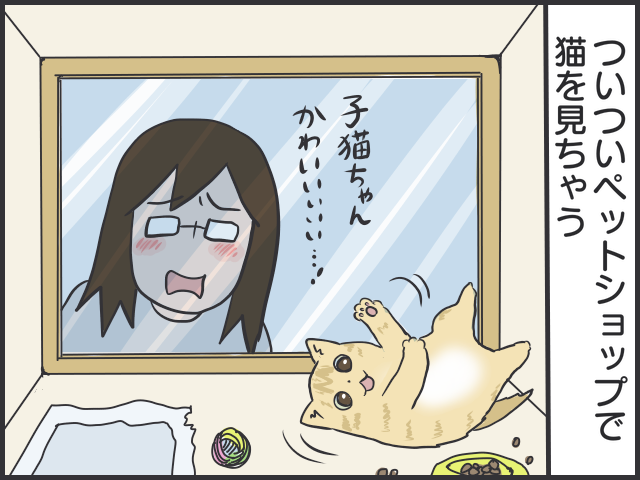 保護猫の里親になる条件は？20年一緒に暮らすということ／フニャコ（2）