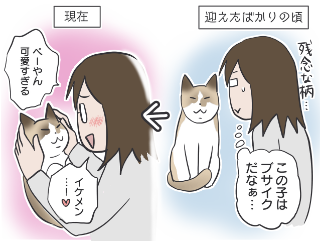 保護猫の里親になる条件は？20年一緒に暮らすということ／フニャコ（5）
