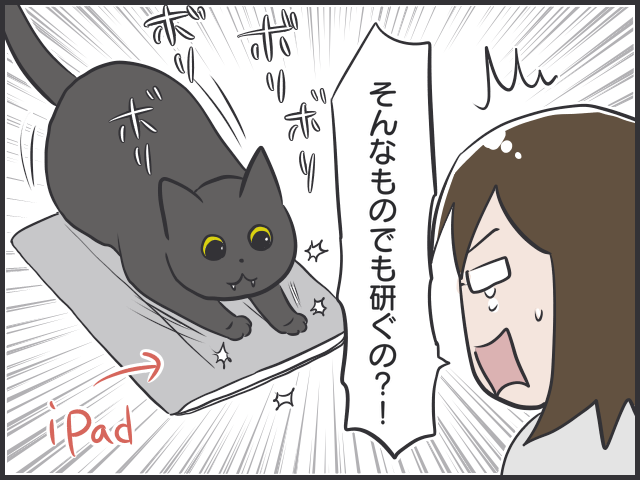 そんなものでも爪とぎしちゃうの！？室内飼いの工夫とは？／フニャコ（1）