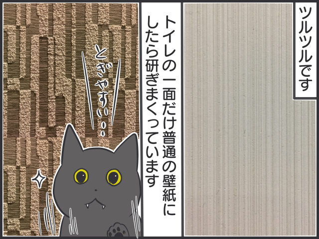 そんなものでも爪とぎしちゃうの！？室内飼いの工夫とは？／フニャコ（5）