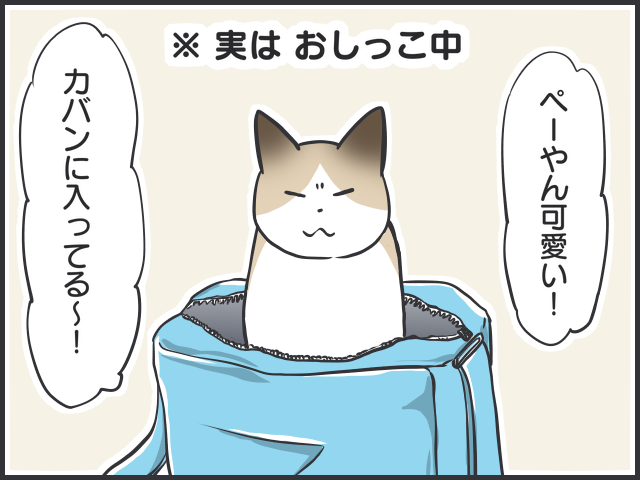 布団の上、カバンの中...そこはトイレじゃなーい！猫の粗相に悩んでいた頃／フニャコ（1）