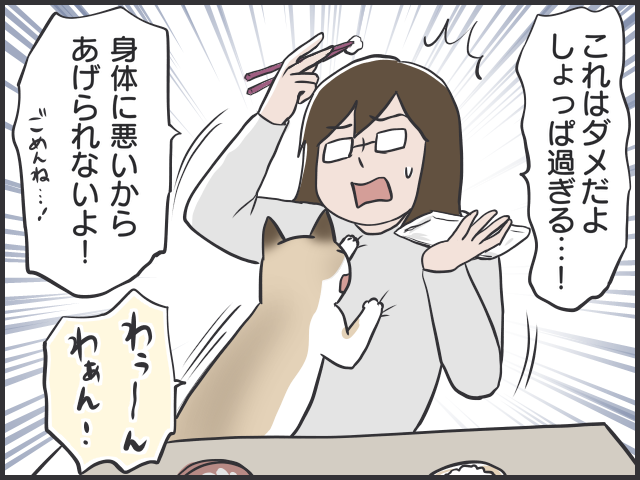 布団の上、カバンの中...そこはトイレじゃなーい！猫の粗相に悩んでいた頃／フニャコ（2）