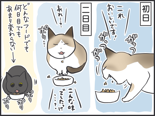 2日目は食べが悪い！グルメで飽きっぽい愛猫のためにとっている「対策」とは／フニャコ（3）