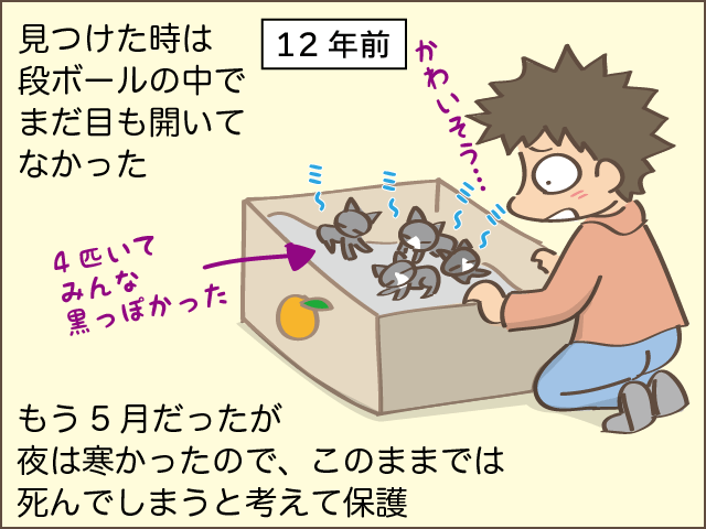 甘え上手下手も愛おしい！我が家の癒し担当2匹／しまえもん（3）