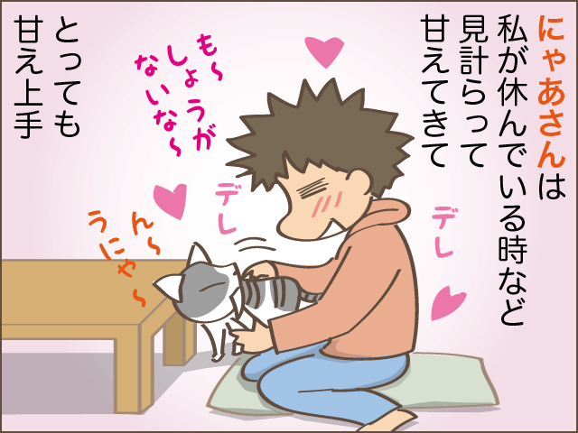 甘え上手下手も愛おしい！我が家の癒し担当2匹／しまえもん（5）