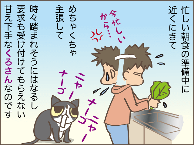 甘え上手下手も愛おしい！我が家の癒し担当2匹／しまえもん（7）