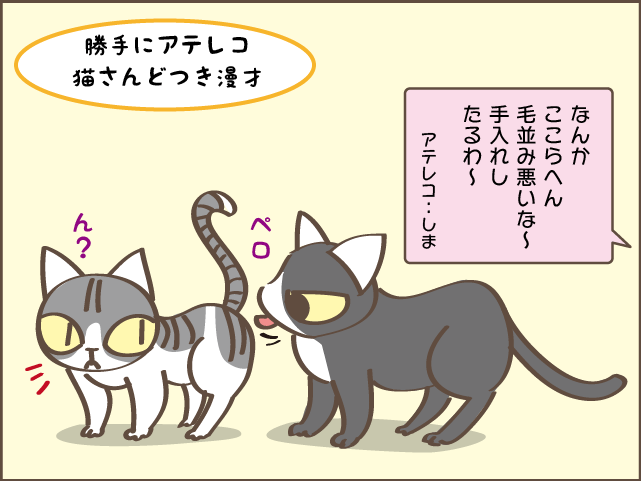 甘え上手下手も愛おしい！我が家の癒し担当2匹／しまえもん（8）