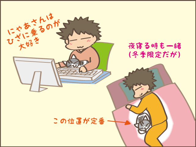 甘え上手下手も愛おしい！我が家の癒し担当2匹／しまえもん（14）