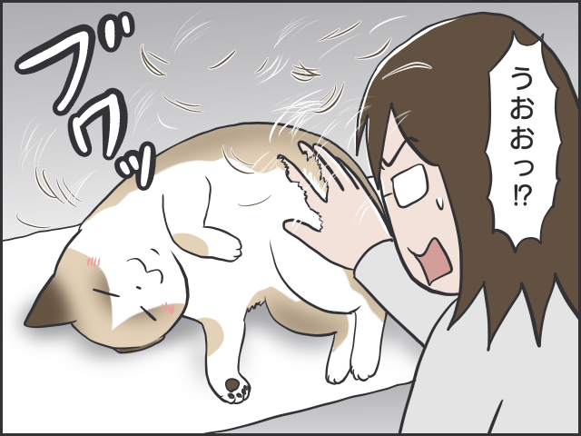 大量の抜け毛が！猫の換毛期、抱っこの後は大変なことに...／フニャコ（2）