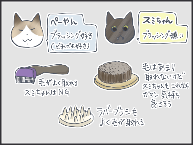 大量の抜け毛が！猫の換毛期、抱っこの後は大変なことに...／フニャコ（3）
