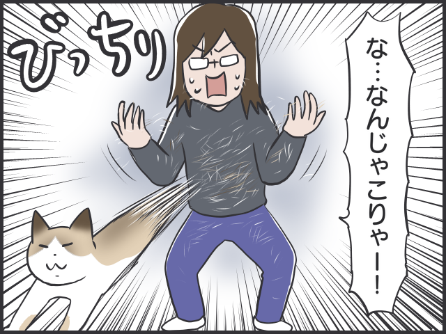大量の抜け毛が！猫の換毛期、抱っこの後は大変なことに...／フニャコ（5）