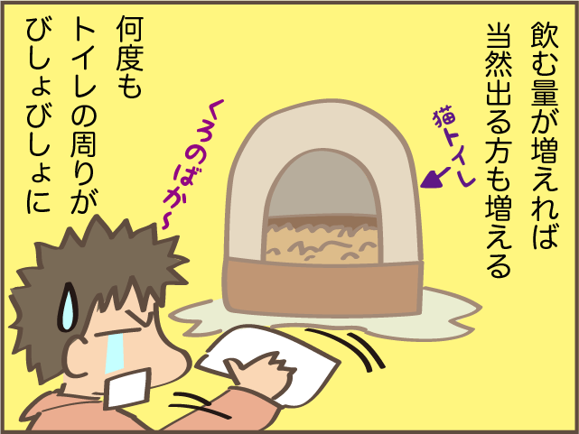 あまりに水を飲むしトイレに行く...腎臓病になった愛猫のトイレ問題／しまえもん（1）