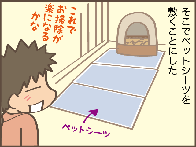 あまりに水を飲むしトイレに行く...腎臓病になった愛猫のトイレ問題／しまえもん（4）