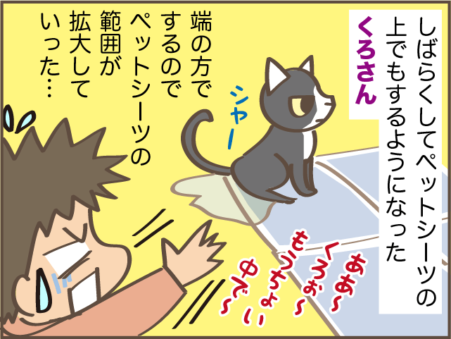 あまりに水を飲むしトイレに行く...腎臓病になった愛猫のトイレ問題／しまえもん（5）