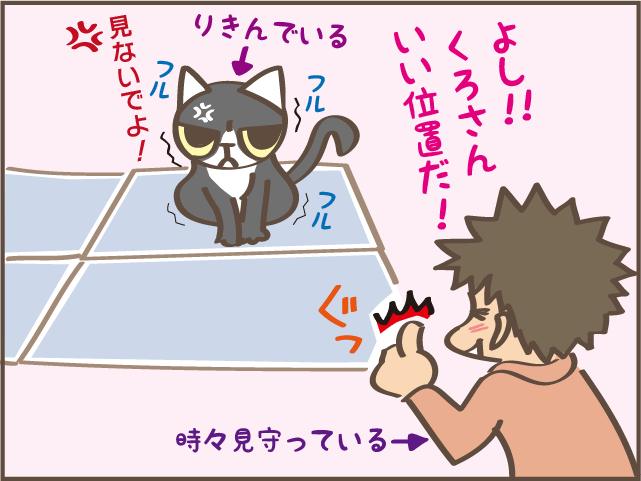 あまりに水を飲むしトイレに行く...腎臓病になった愛猫のトイレ問題／しまえもん（6）