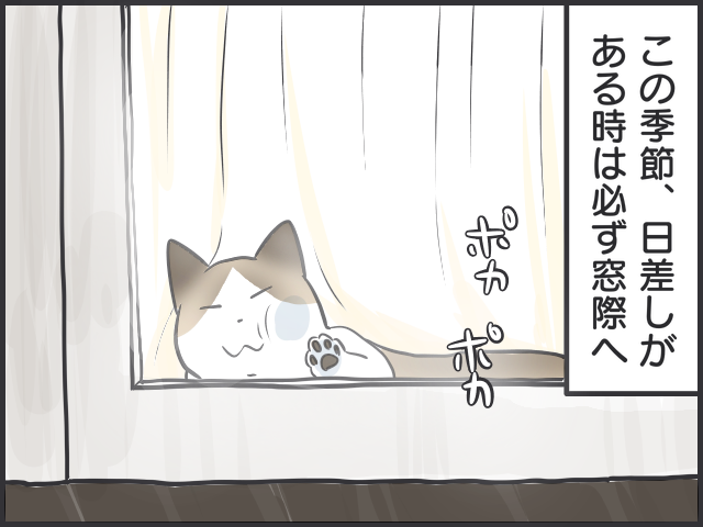 だら〜んと床に転がる猫たちは、これからの季節の風物詩／フニャコ（2）