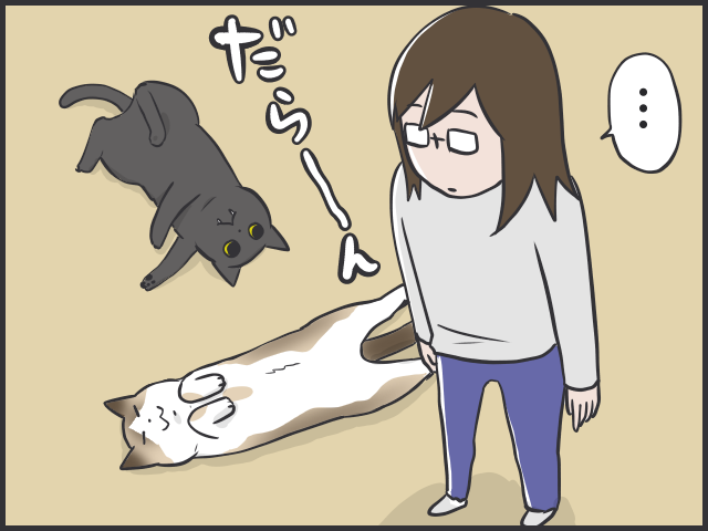 だら〜んと床に転がる猫たちは、これからの季節の風物詩／フニャコ（3）