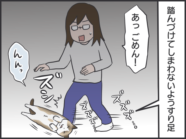 だら〜んと床に転がる猫たちは、これからの季節の風物詩／フニャコ（4）